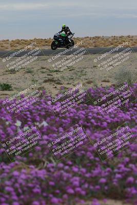 media/Jan-14-2023-SoCal Trackdays (Sat) [[497694156f]]/Turn 14 Exit Bloomig (145pm)/